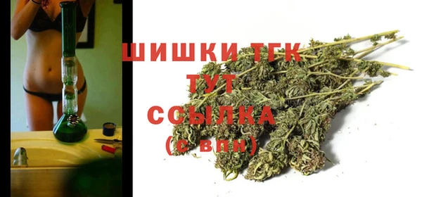 тгк Богородск