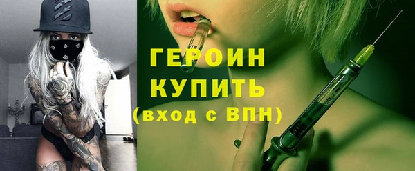 индика Богородицк