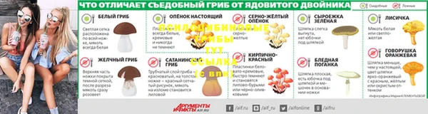 индика Богородицк