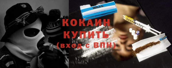 индика Богородицк