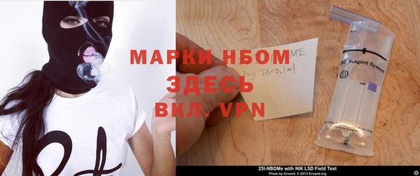 индика Богородицк