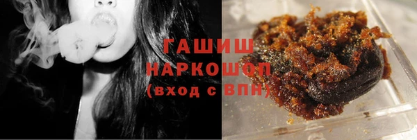 индика Богородицк