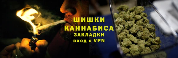 индика Богородицк