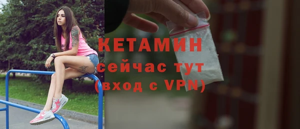 индика Богородицк