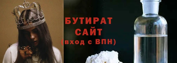 индика Богородицк