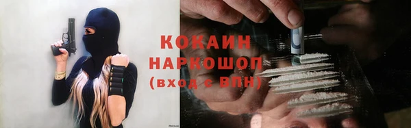 индика Богородицк