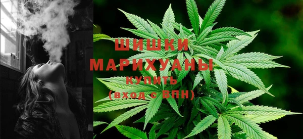 индика Богородицк