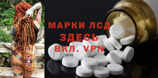 индика Богородицк