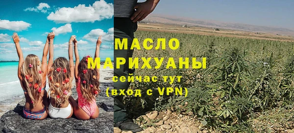 индика Богородицк