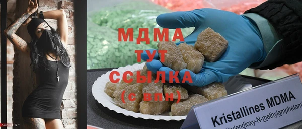 индика Богородицк