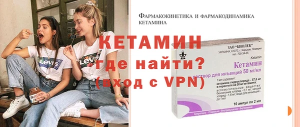индика Богородицк