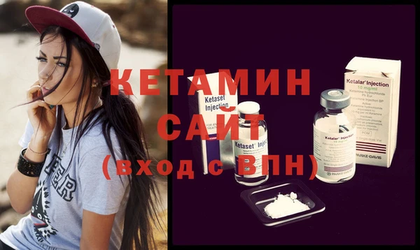 индика Богородицк