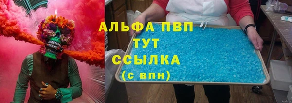 индика Богородицк
