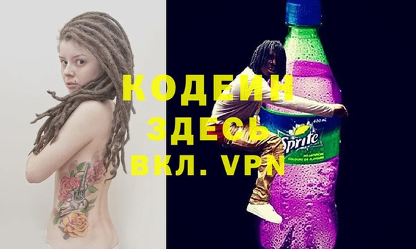 индика Богородицк
